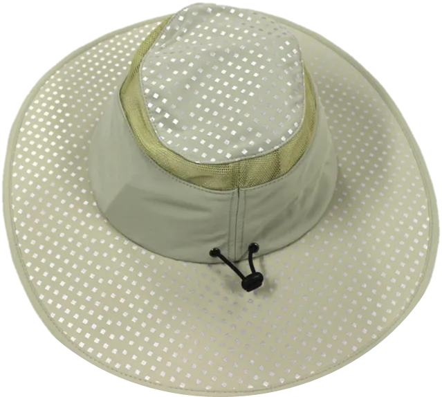 Arctic Hat