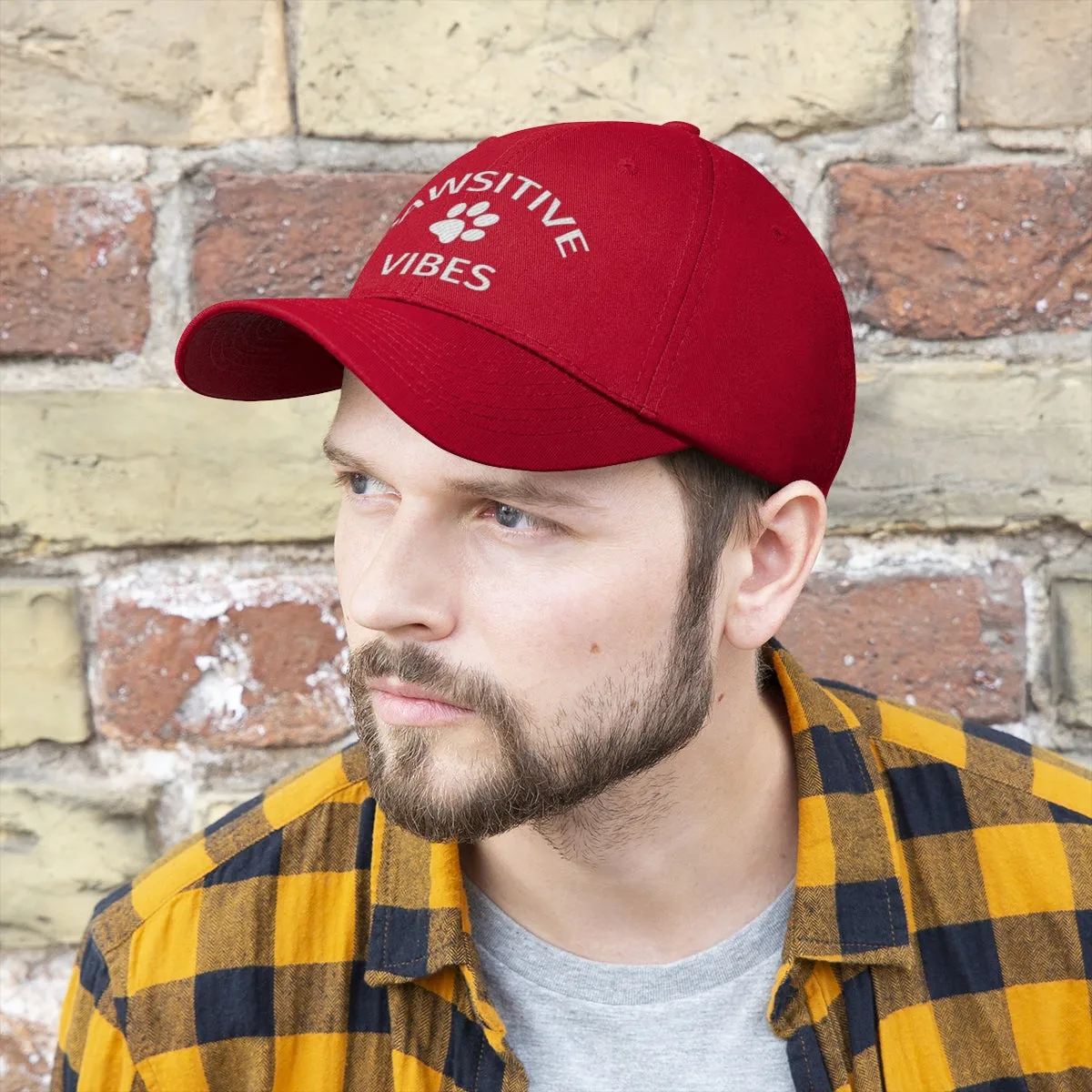 Pawsitive Vibes - Classic Hat